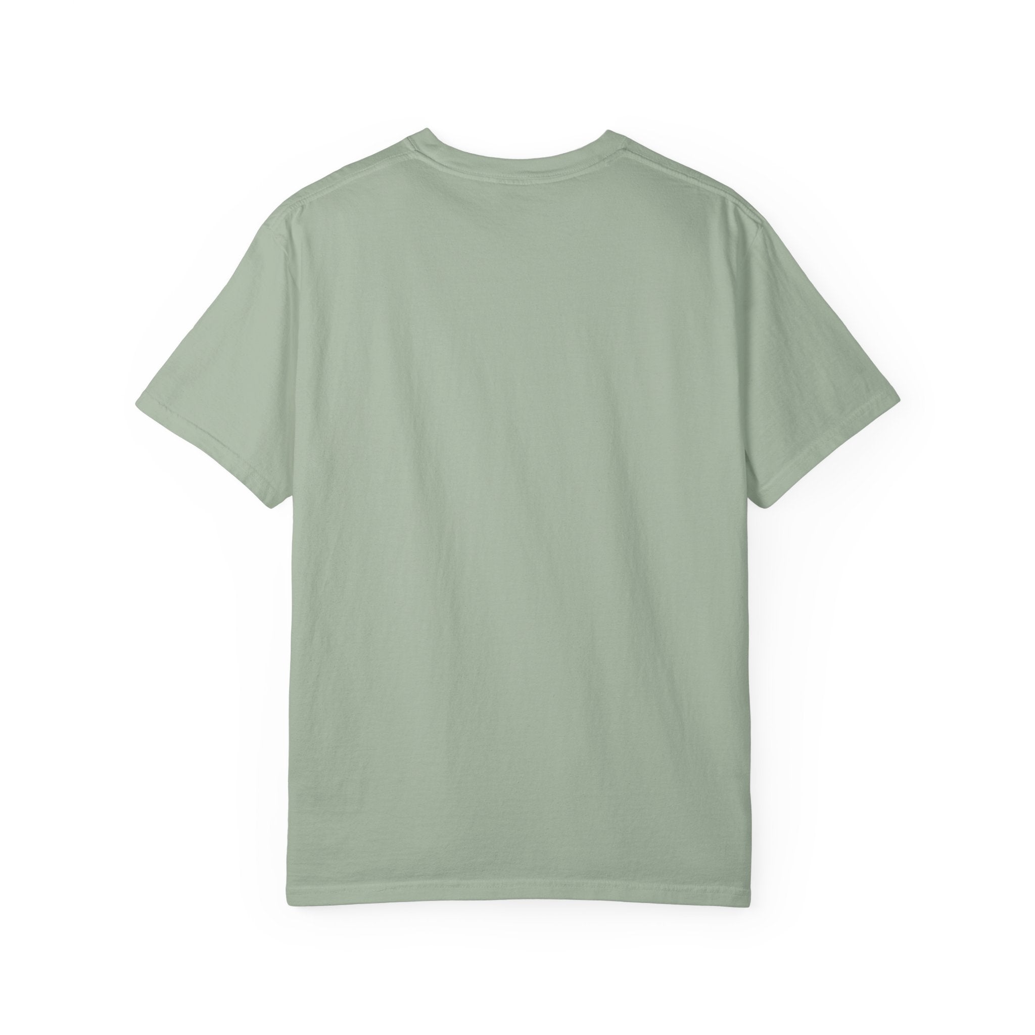 Custom Sun Conure Shirt
