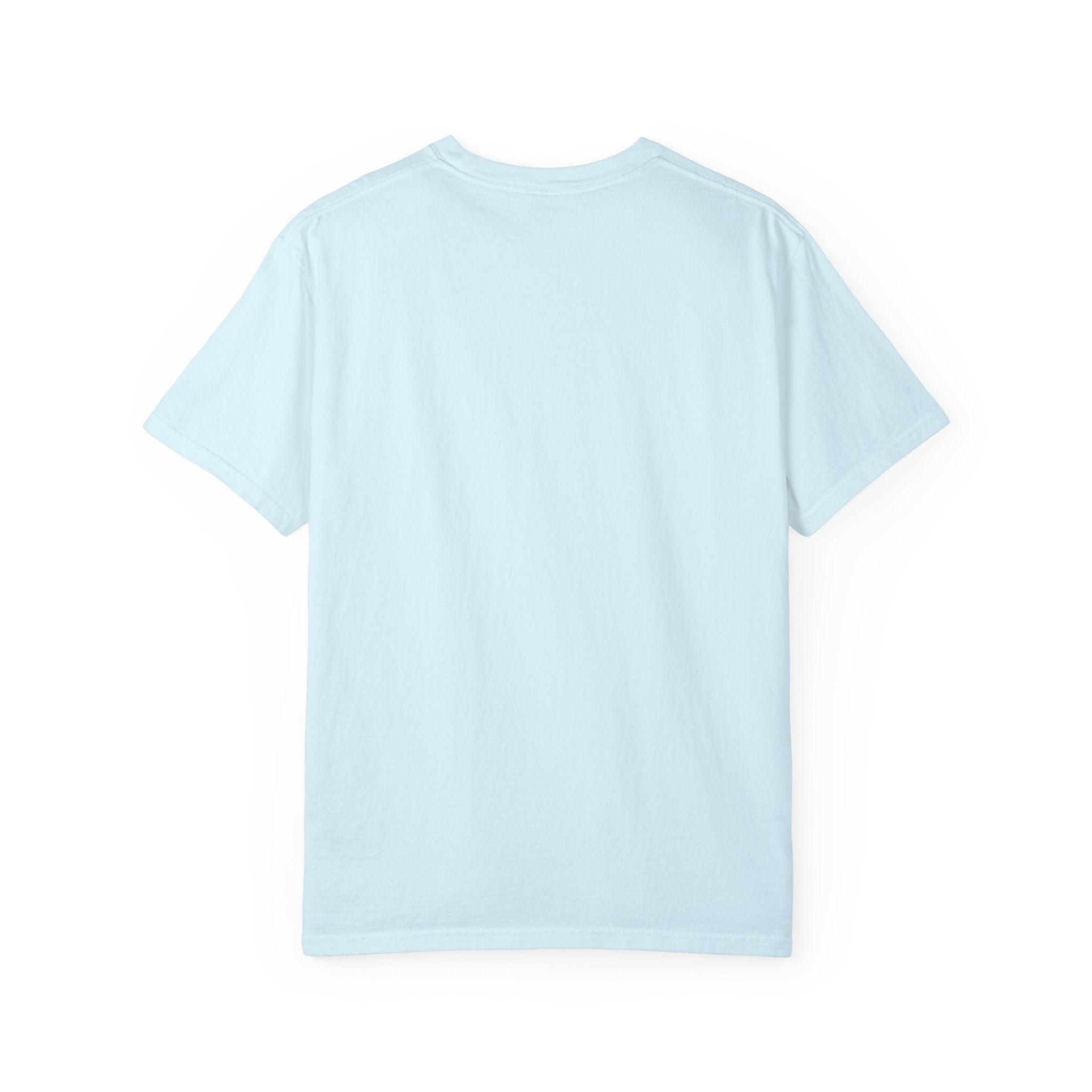 Custom Sun Conure Shirt