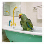 1/2PCS Automatic Parrot IntelligentBath Bird Shower Bathtub