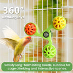 Parrot Toys Interactive  Rotating Windmill
