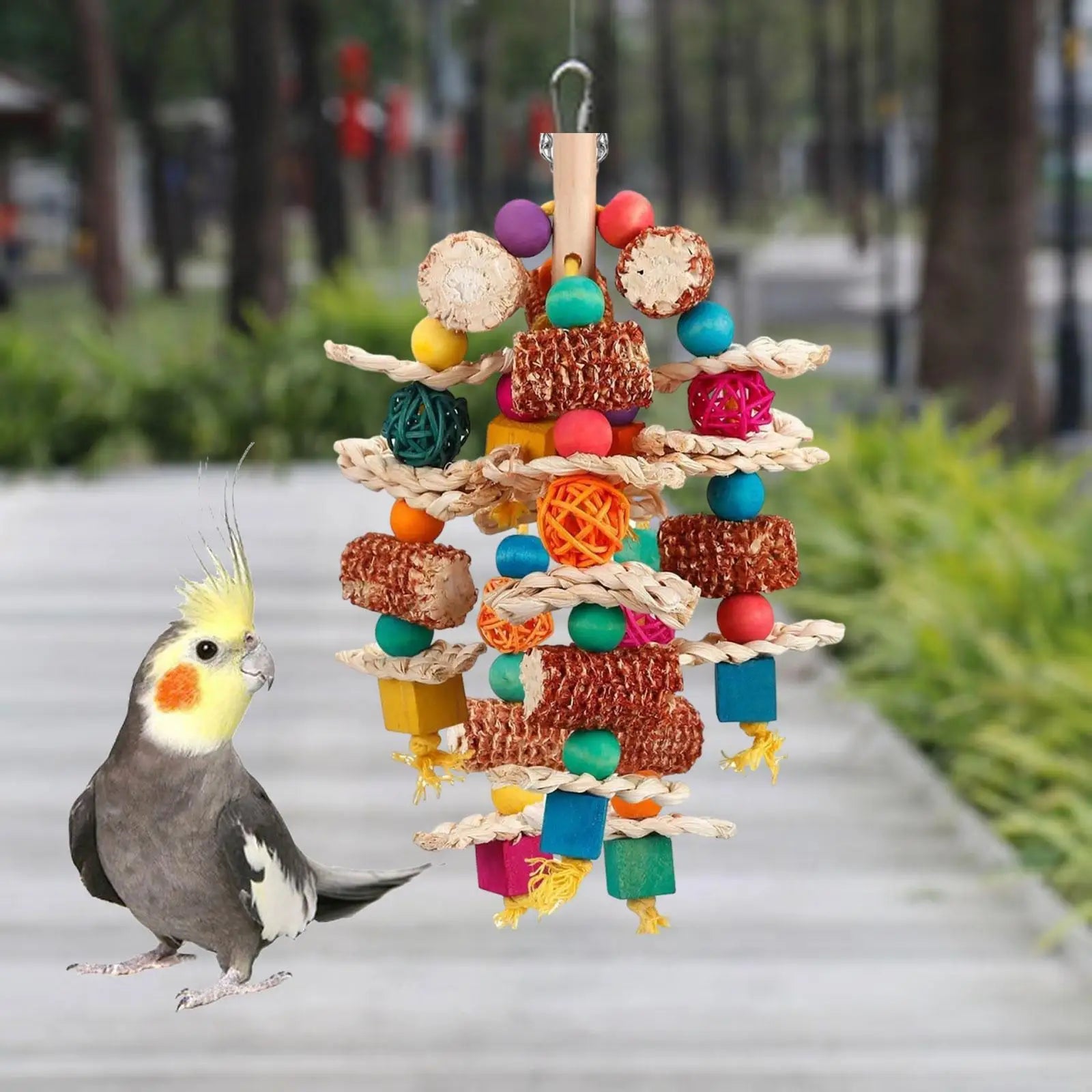 Parrot Chewing Toy