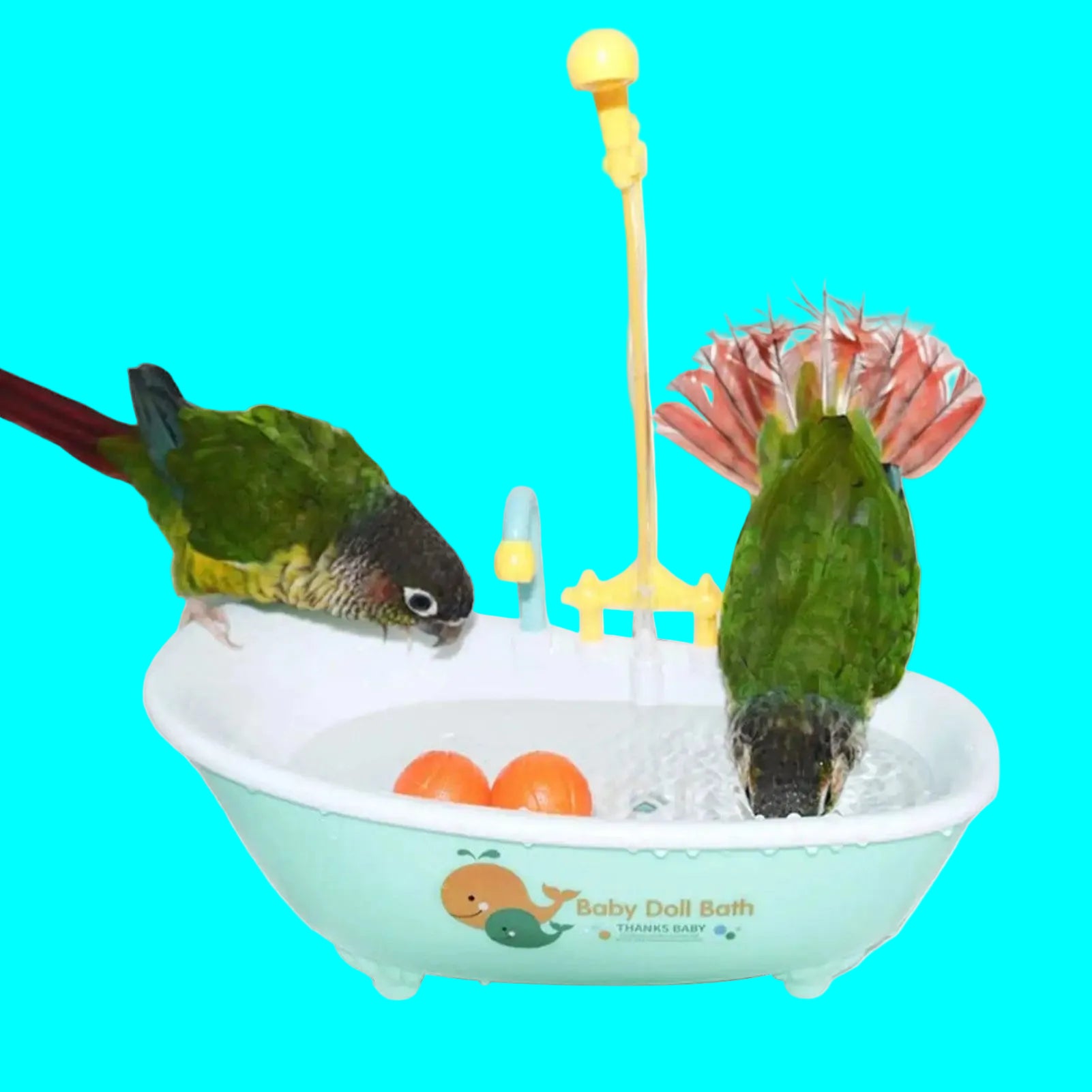 Bird Bathtub Parrot Bath Fountain Bird Parrot Bird Shower Bathing Tub Pet Pool Birdbath Bowl Pet Bird Bath Basin Parrot Basin